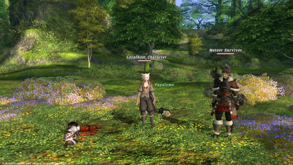 final fantasy xiv private server