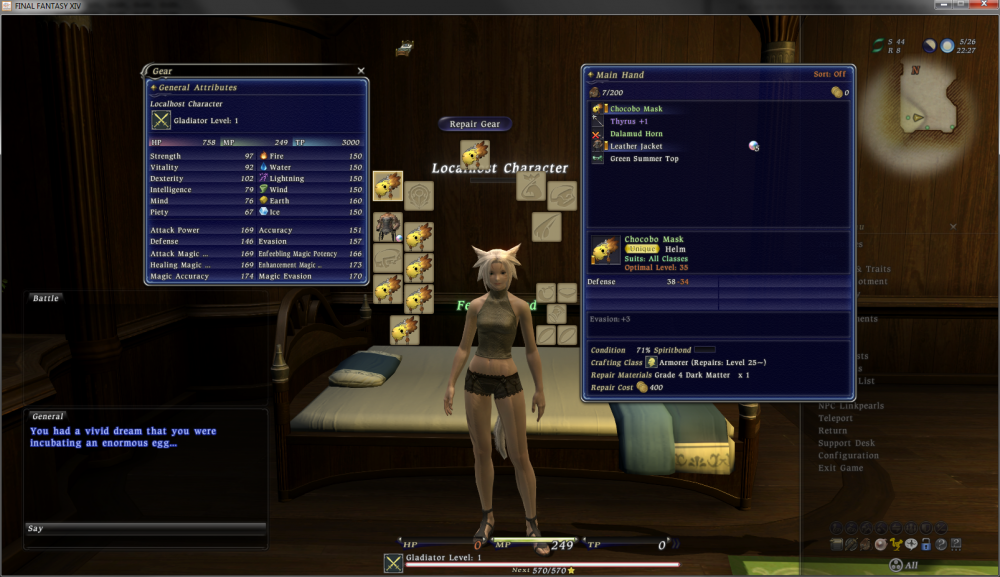 FFXIV 1 0 Classic Server Dev Blog Equipment And Actor Name Appearance